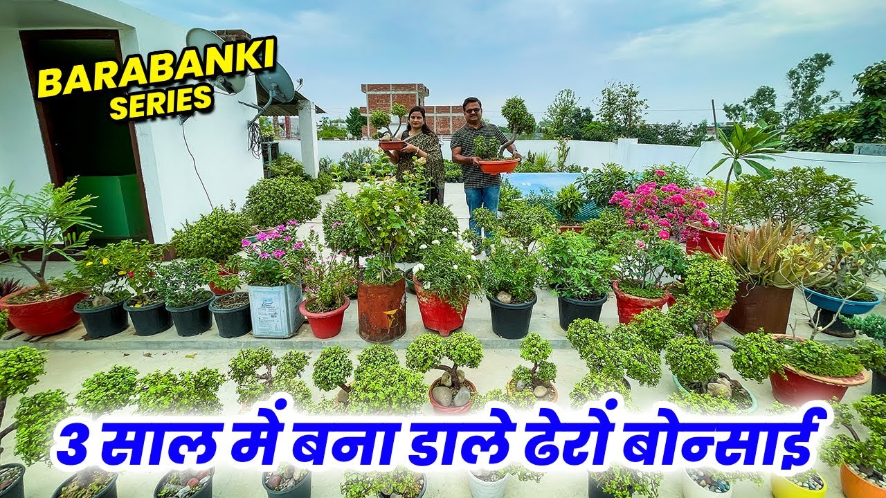 ऐसा शौंक लगा की सिर्फ 3 साल में बना डाले ढेरों बोन्साई 🤩 🤩 गजब की दीवानगी  😍 😍