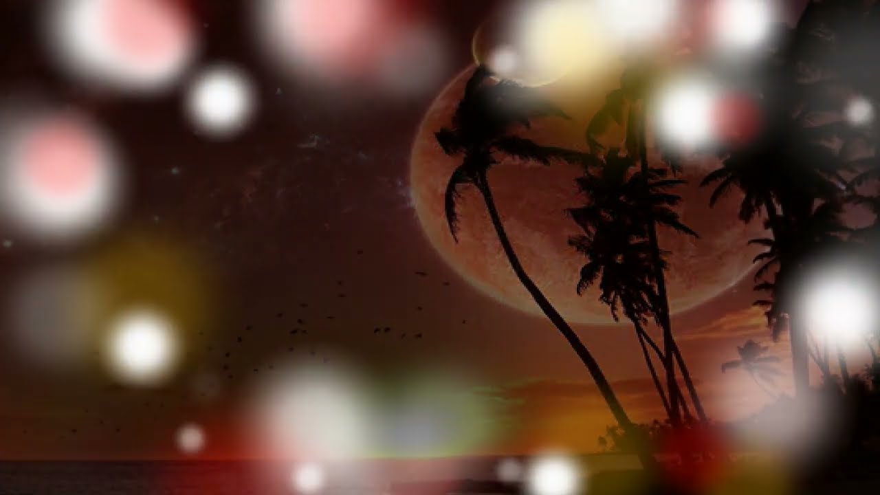 【Paradiso】南佳孝