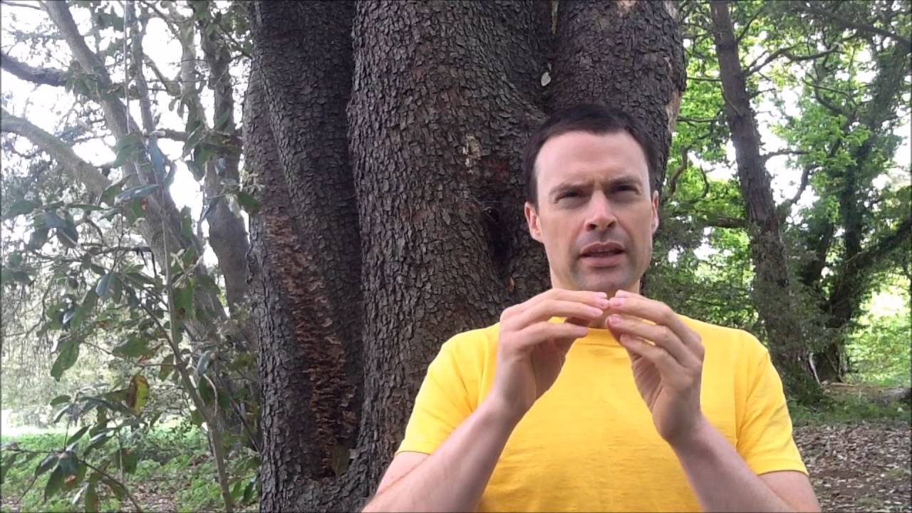 A Powerful Method of Training the Mind