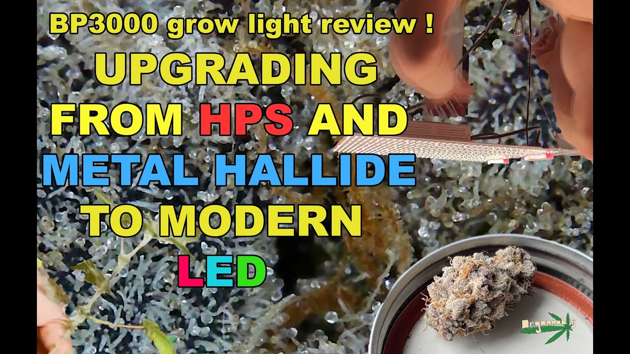 Switching From HPS and Metal Halide  to LED BP3000 Grow light Unboxing and Review