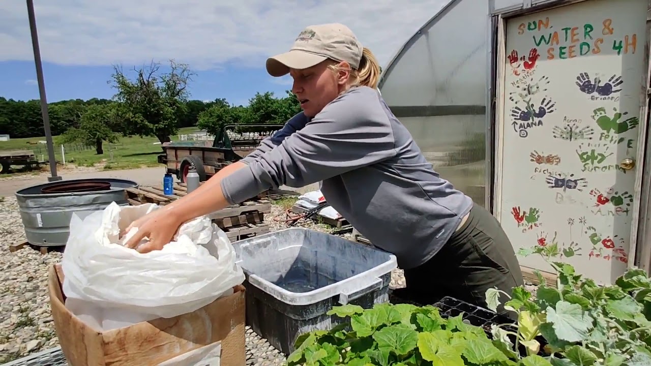 Protecting our Plants from Pests with Kaolin