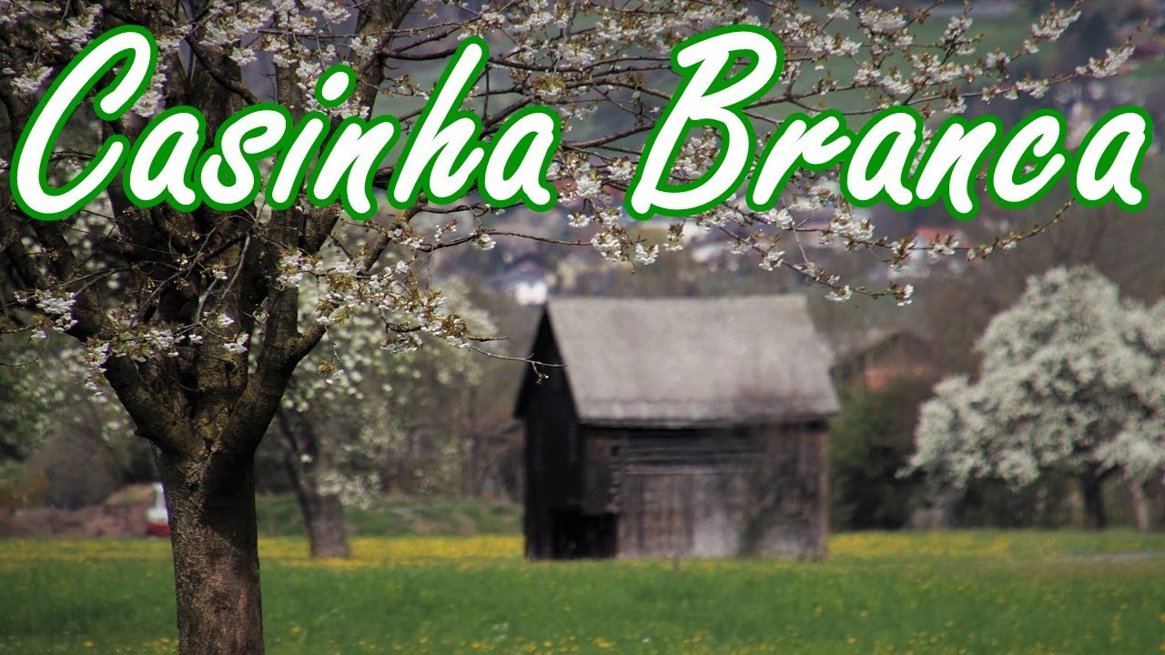 Casinha Branca Gilson Original Eu tenho andado t&atilde;o sozinho ultimamente
