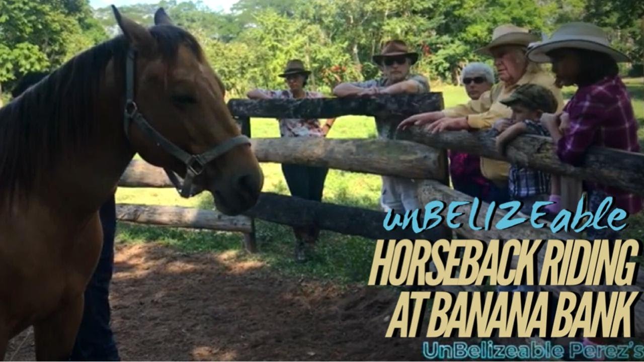 UnBELIZEable Horseback riding at Banana Bank lodge