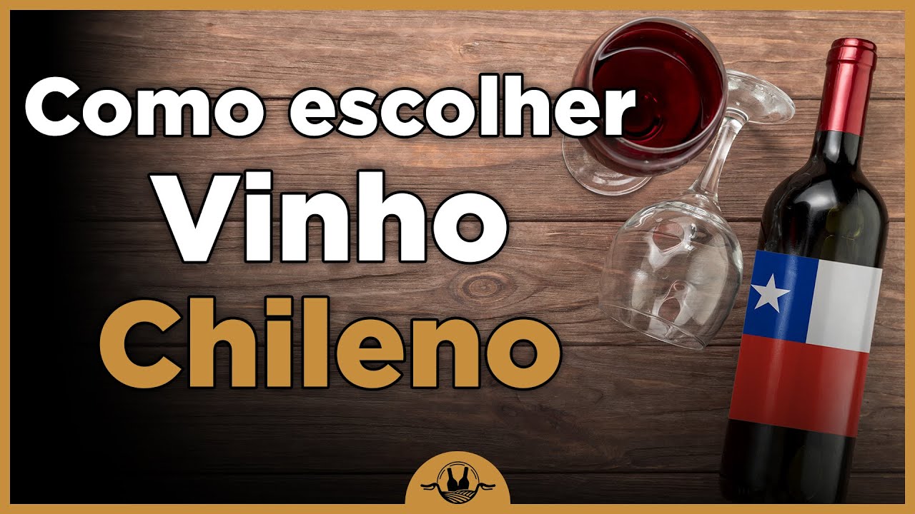 VINHOS CHILENOS: Principais Uvas, Regiões e Dicas de Compra