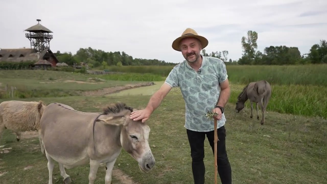 Iđirot i beli slez lekovito korenje iz blata