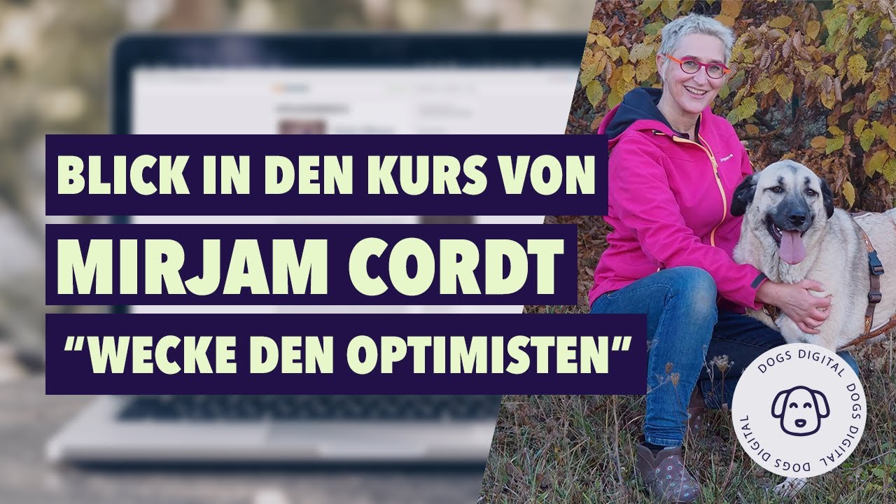 Mirjam Cordt Erfahrungen - Blick in den Kurs 