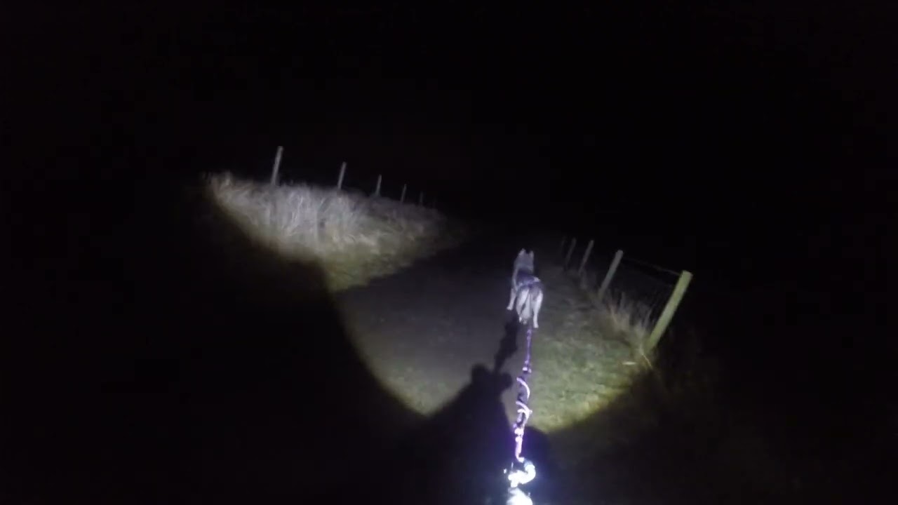 19.02.2024 meika run