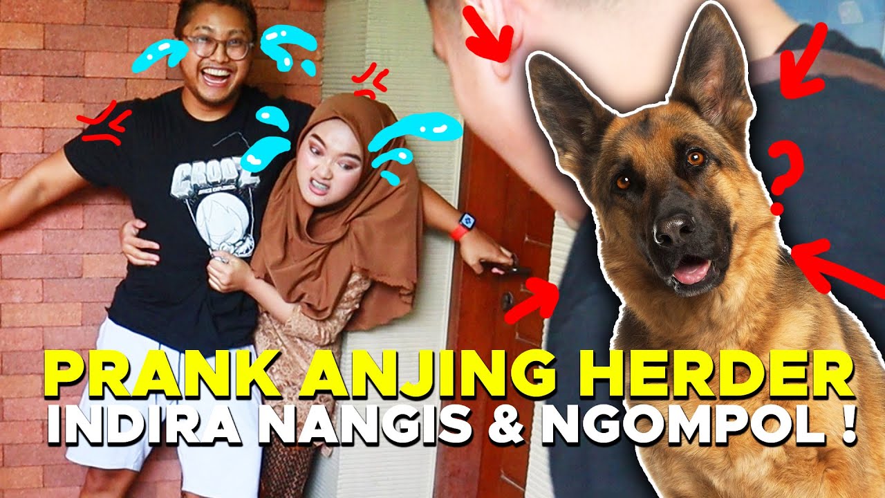 NGAKAK! TAKUT SAMA ANJING,@AA UTAP & @INDIRA KALISTHA DI-PRANK SAMPE NANGIS DAN NGOMPOL !!