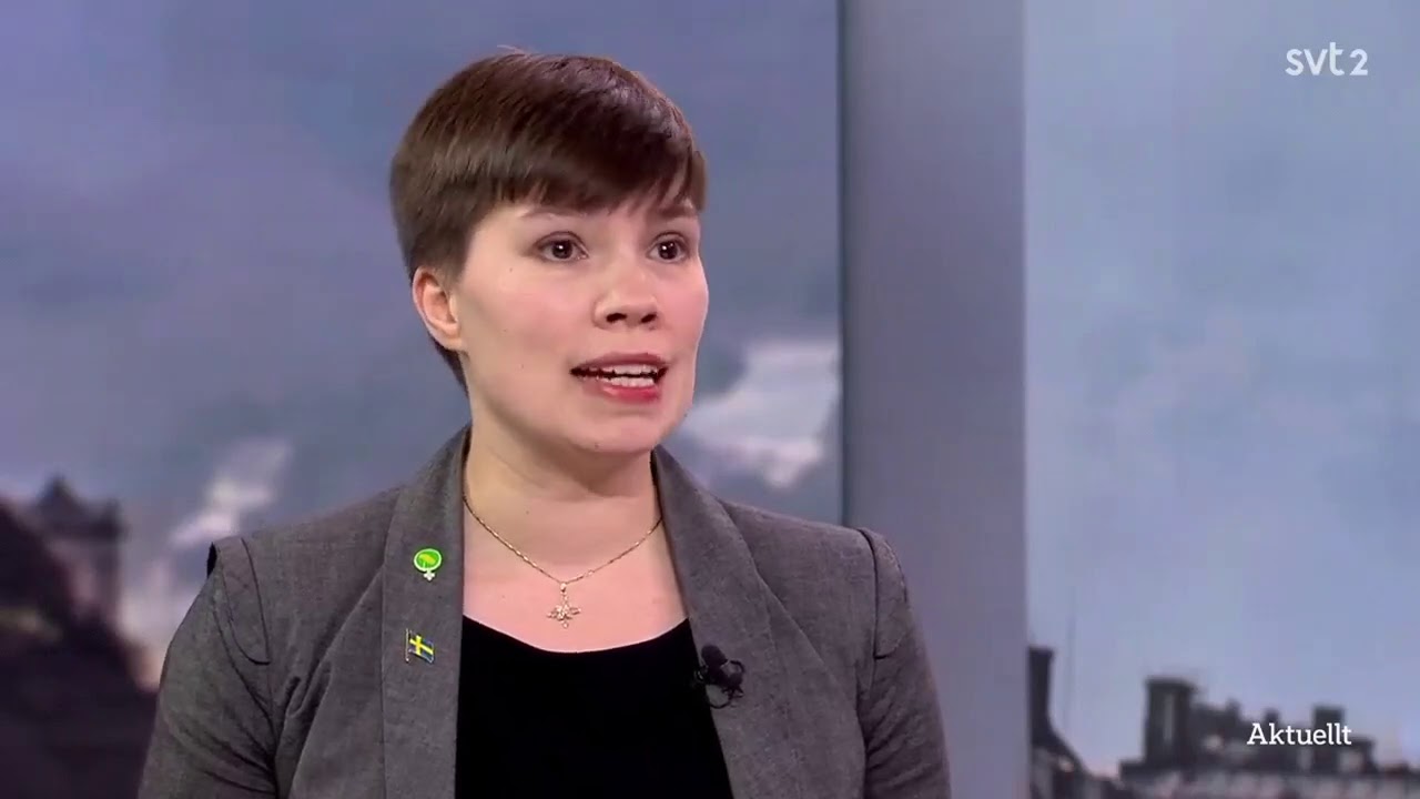 Henrik Vinge: Vi ska prioritera trygghet och välfärd i Sverige, framför asylinvandring