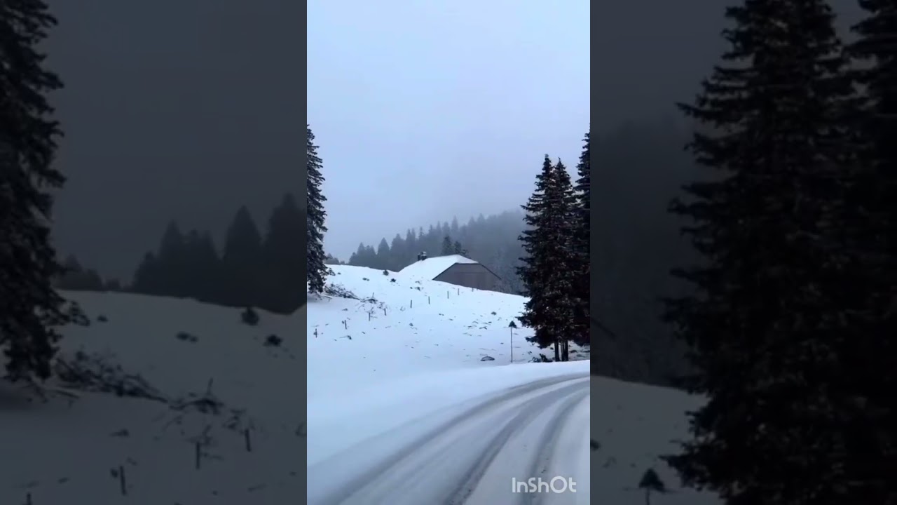 Прекрасный голос, Макки Межиевой. 
