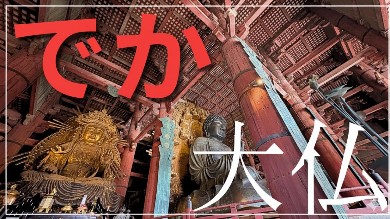 【東大寺ロケがカオスな件】大仏様の前で鹿にカツアゲされる夫婦編