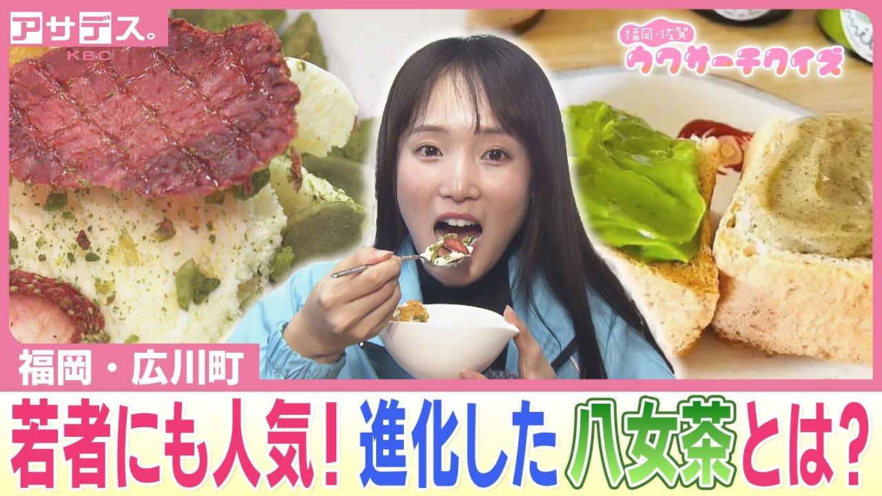 【広川町】若者にも人気！進化した八女茶とは？【アサデス。】【ウワサーチ】