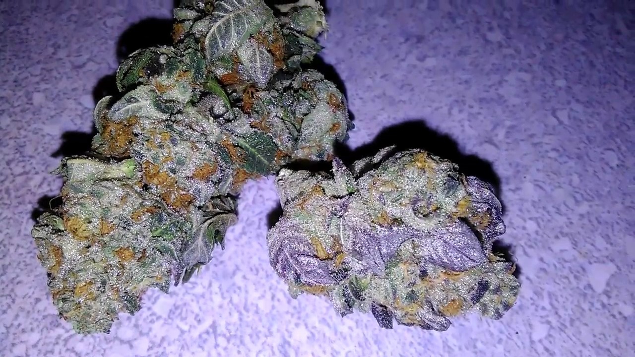 Do Si Dos Cookies