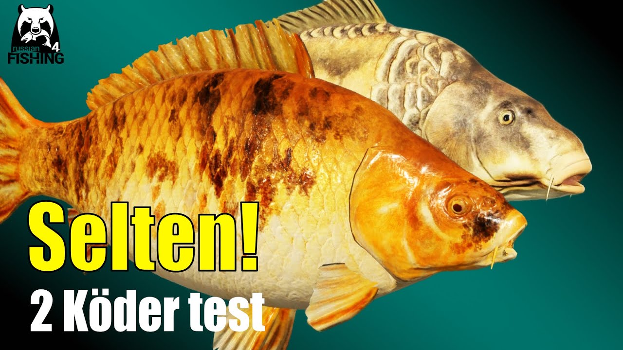 Russian Fishing 4 - Bernsteinsee - 2 Köder für Seltene Karpfen!