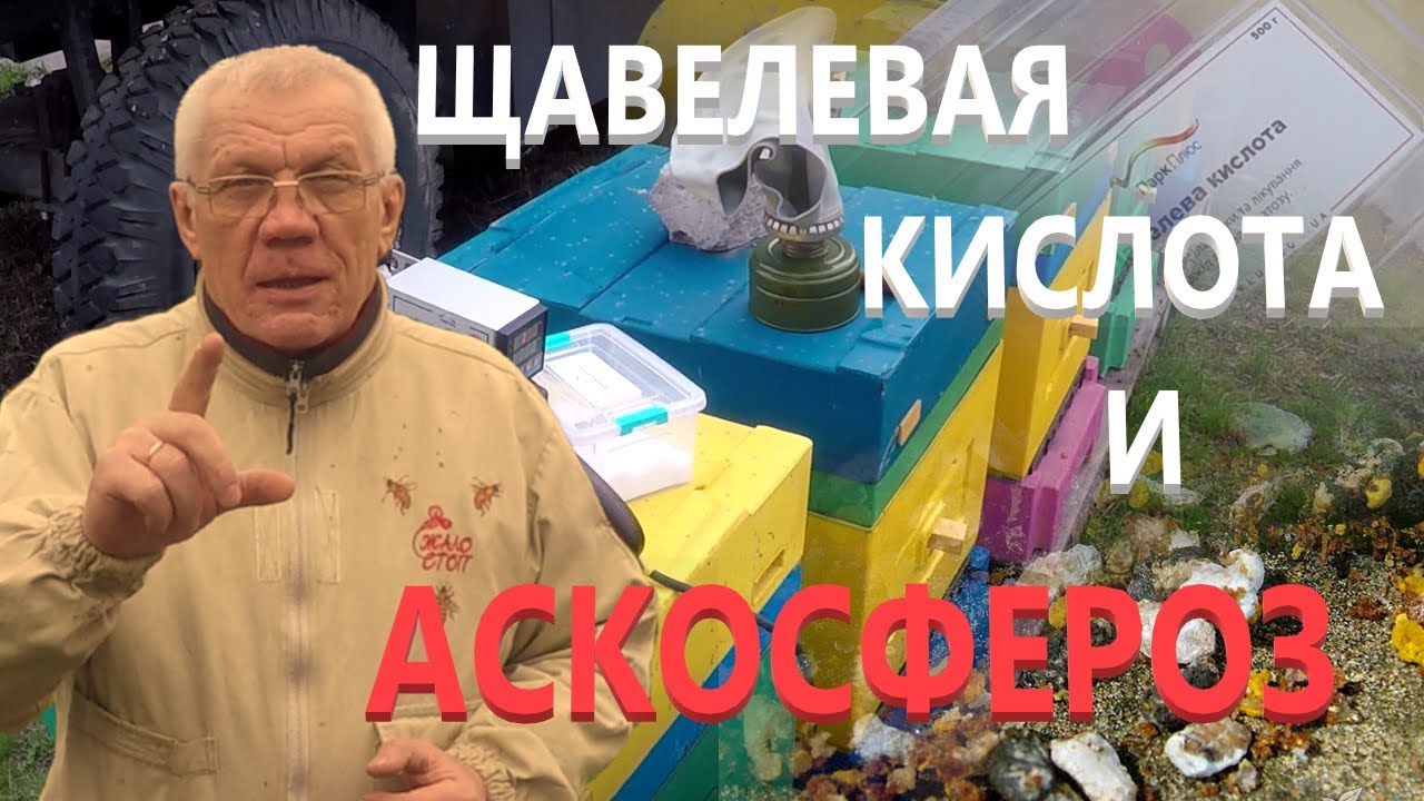 Сублиматор щавелевой кислоты. Щавелевая кислота и аскосфероз.