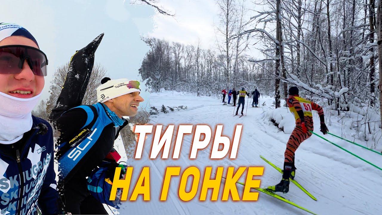 Лыжная гонка на 5 км | Откатали лыжи и на старт!