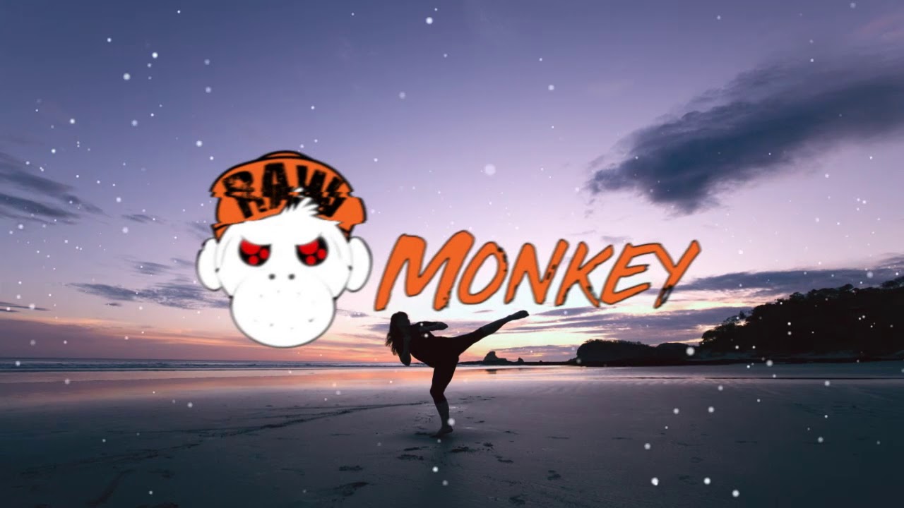 Yestin - RawFight (XTRA RAW) [MONKEY TEMPO]