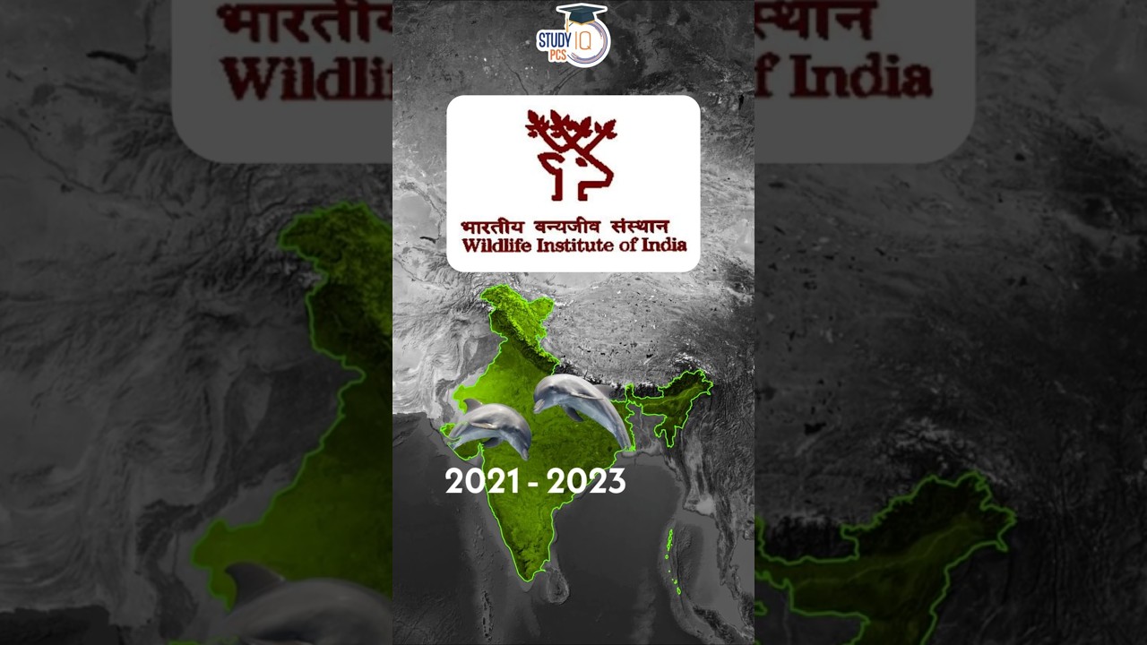 India's First Dolphin Population Survey l Dr Vipan Goyal