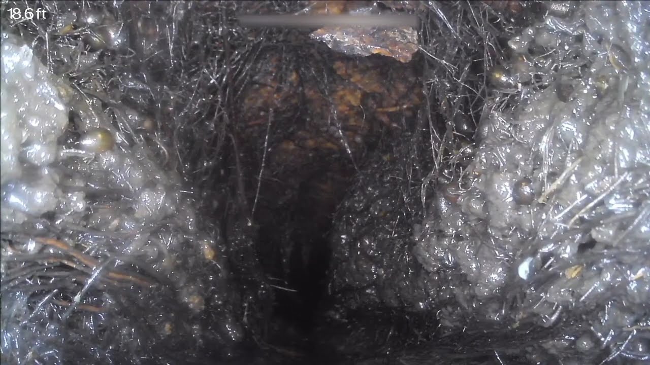 CNHInspections | Tree Roots | Aged Cast Iron Sewer Lateral