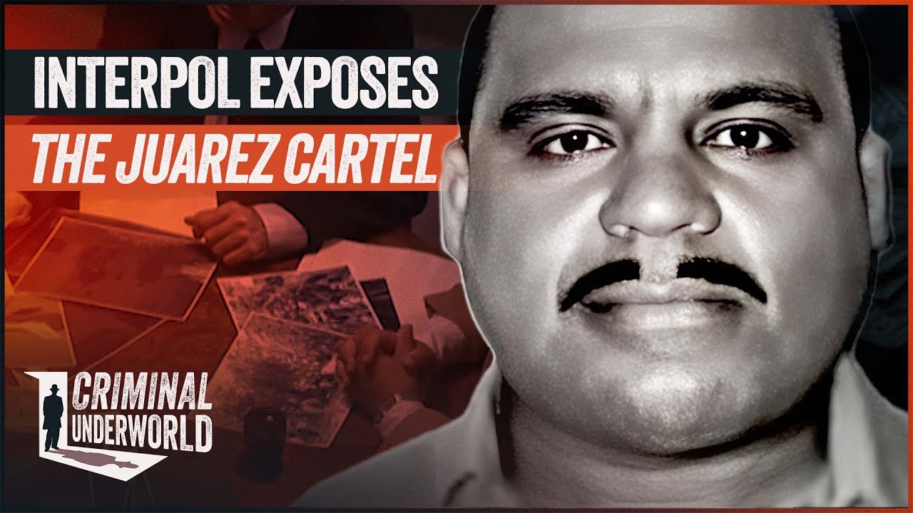 Mexican Drug Cartels Exposed