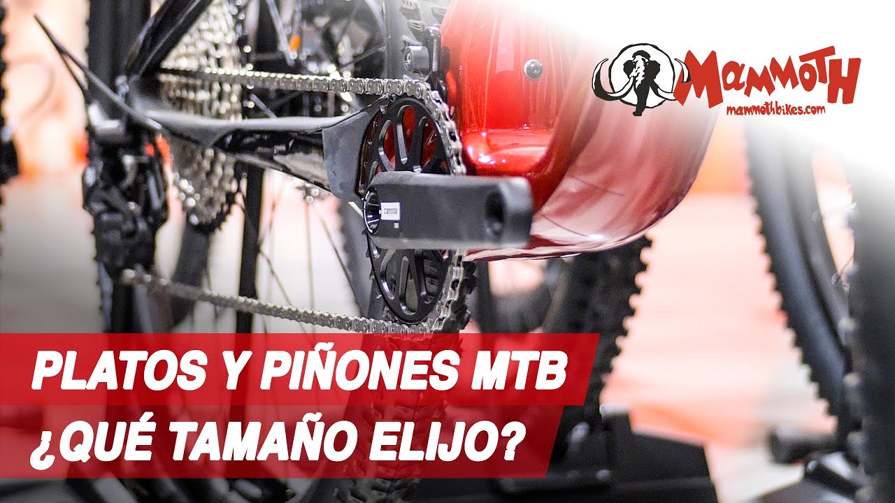 Platos y piñones para MTB ¿Qué tamaño elegir?