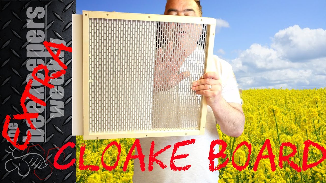 Cloake Board Queen Rearing Honeybee Queens