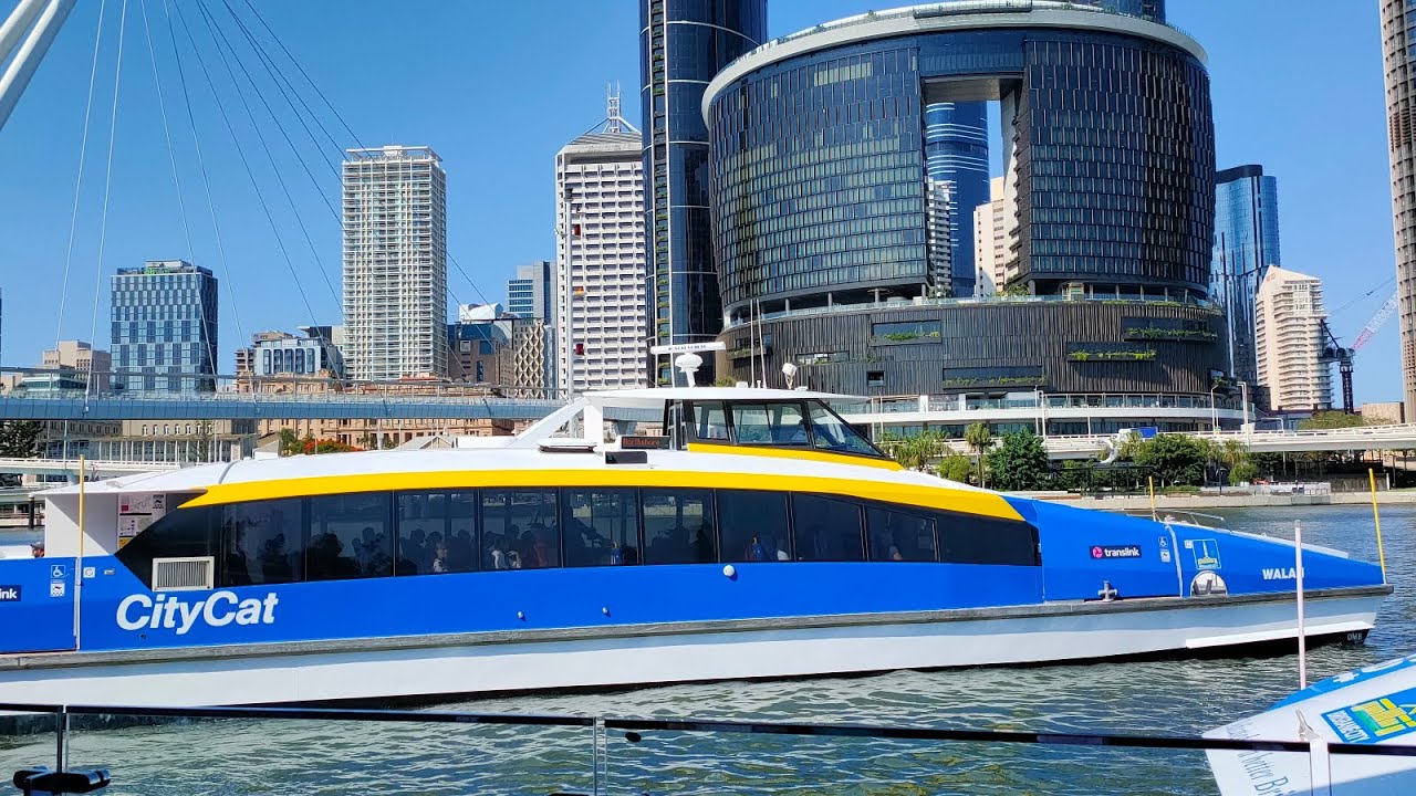 citycat and kittycat ⚓🚤🛥️⛵  brisbane