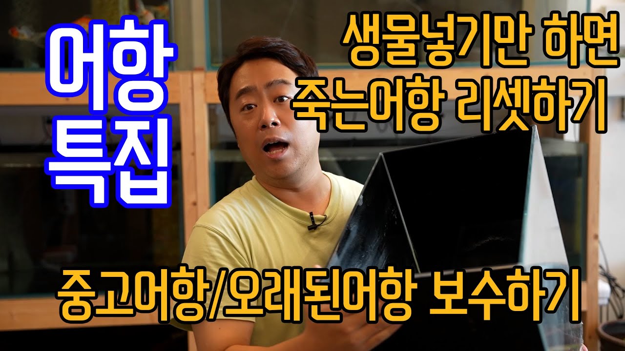 생물 넣기만 하면 죽는 어항 리셋하기 + 중고어항 보수하기