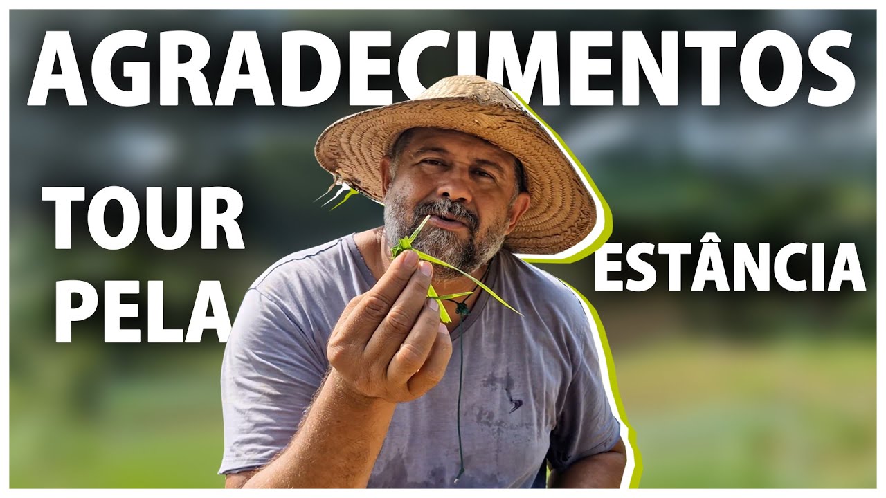 Um pequeno resumo da nossa trajetória