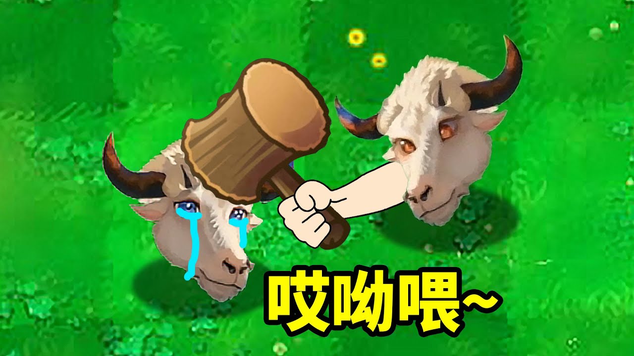 最壞的牛和最好的羊，竟是親兄弟？