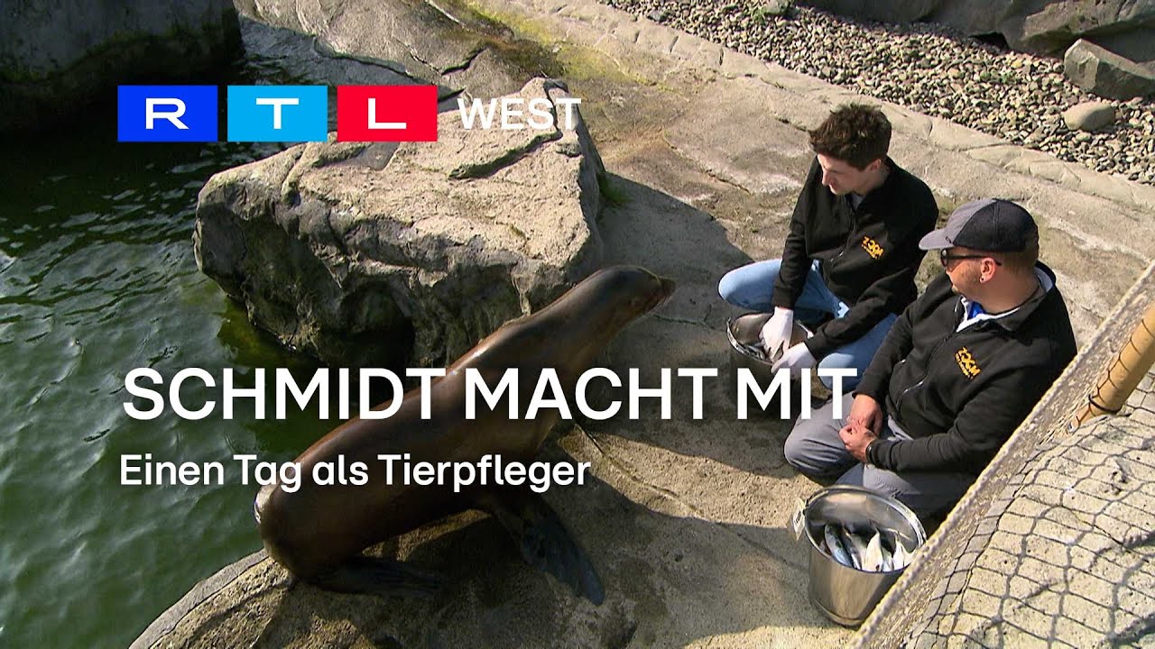 Schmidt macht mit: Einen Tag als Tierpfleger | RTL WEST