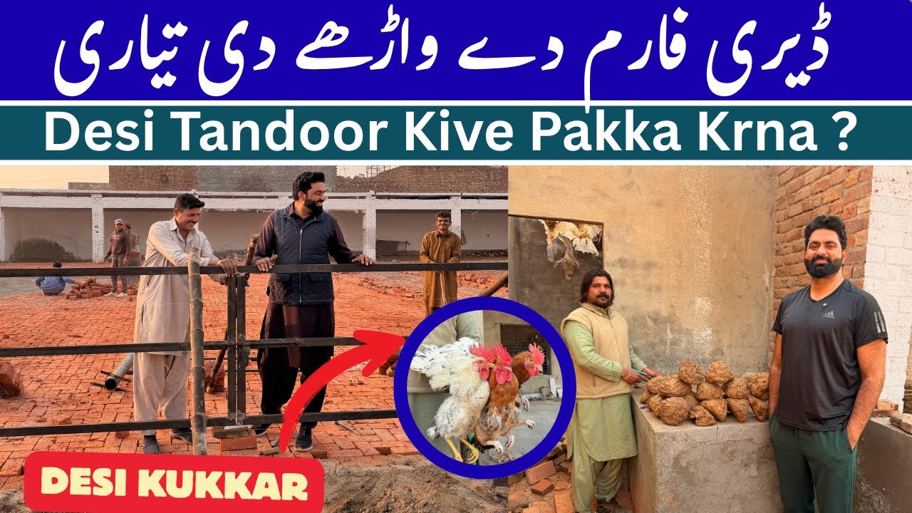Dairy Farm Da Warha Tyar | Desi Kukkar Party | Tandoor Di Pakwayi | Village Life Pakistan