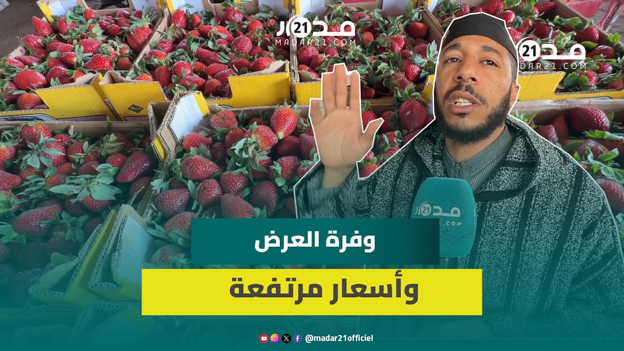 تجار الجملة بمراكش: 