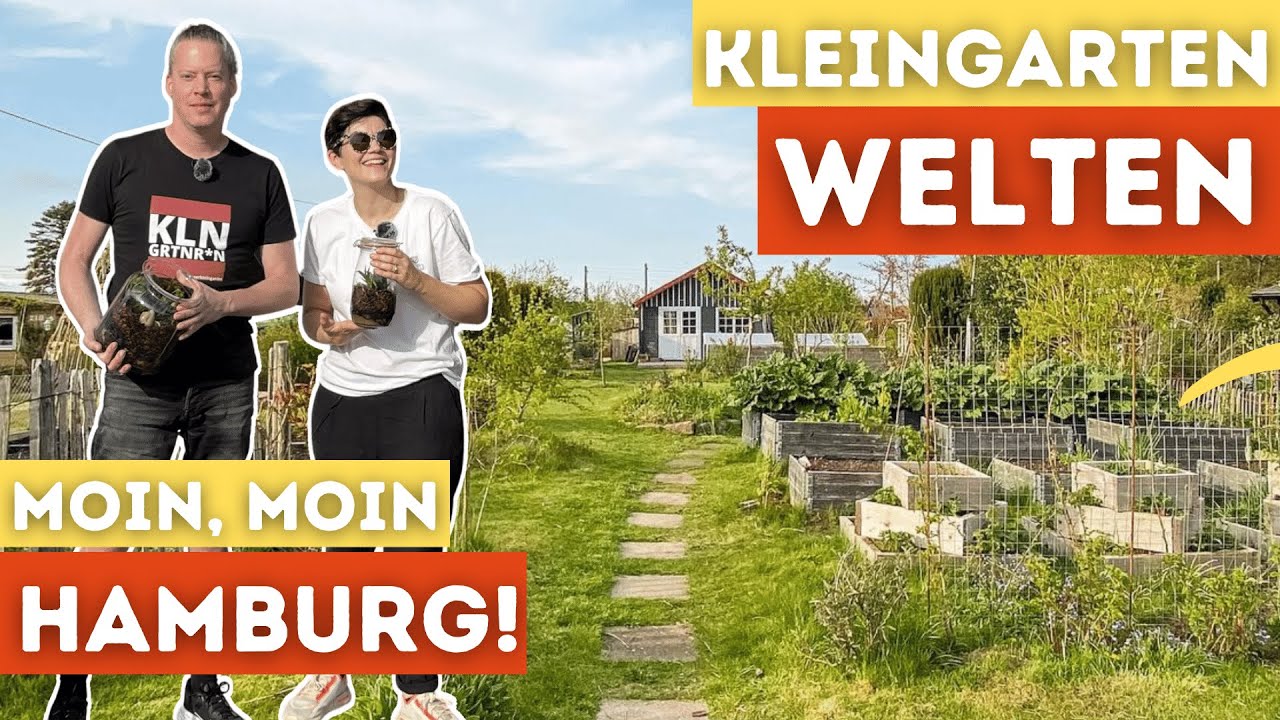 Kleingarten Nordstory aus Hamburger Schrebergarten direkt am Flughafen | DIY Flaschengarten