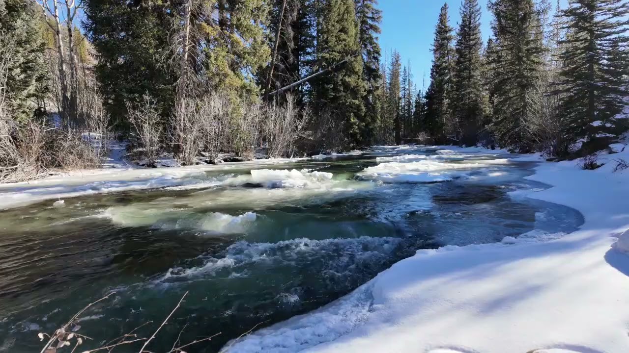 Frozen river Sounds For Deep Relaxation ❄️ One Hour Of Winter Ambiance