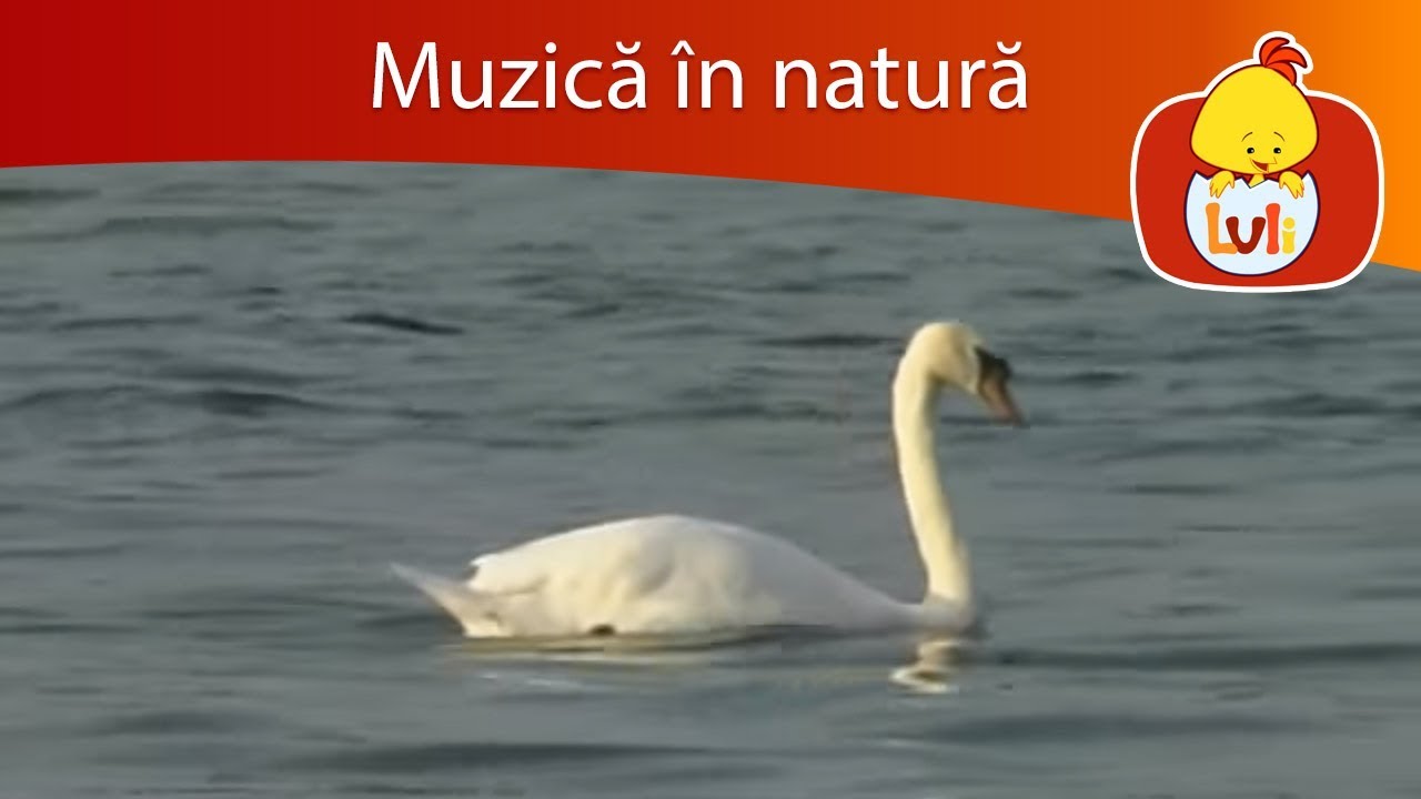 Muzică în natură: Lacuri - Sate