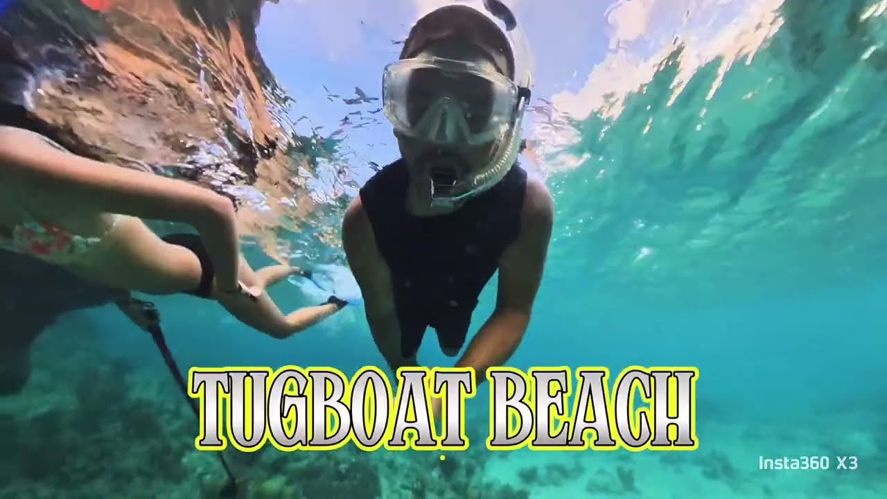 🇨🇼 Curaçao | Tugboat Beach | Insta360 X3 Dive Case Snorkeling