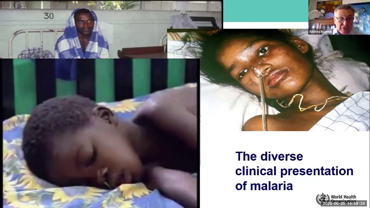 Training course on malaria case management for resource persons and focal points – session 1