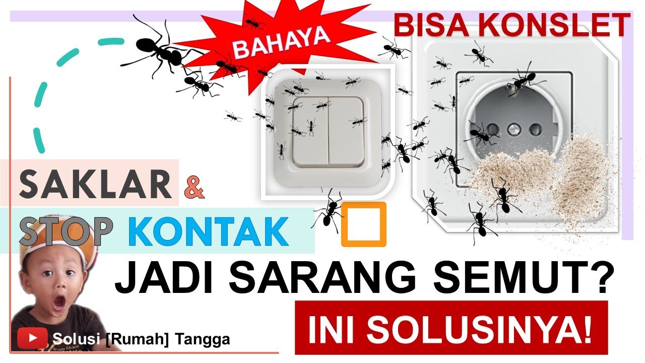 CARA Mengusir Semut di Saklar Lampu | Cara Menghilangkan Semut di Stop Kontak