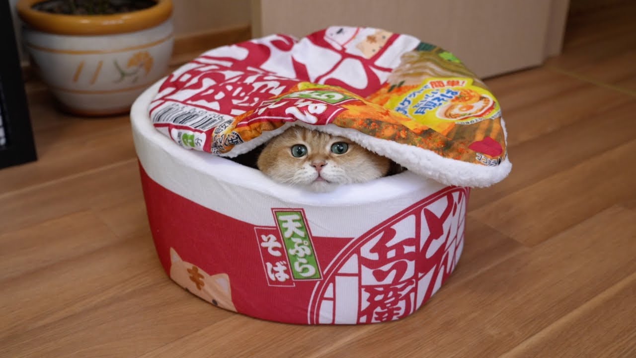 Happy & Polly - Best Online Pet Store