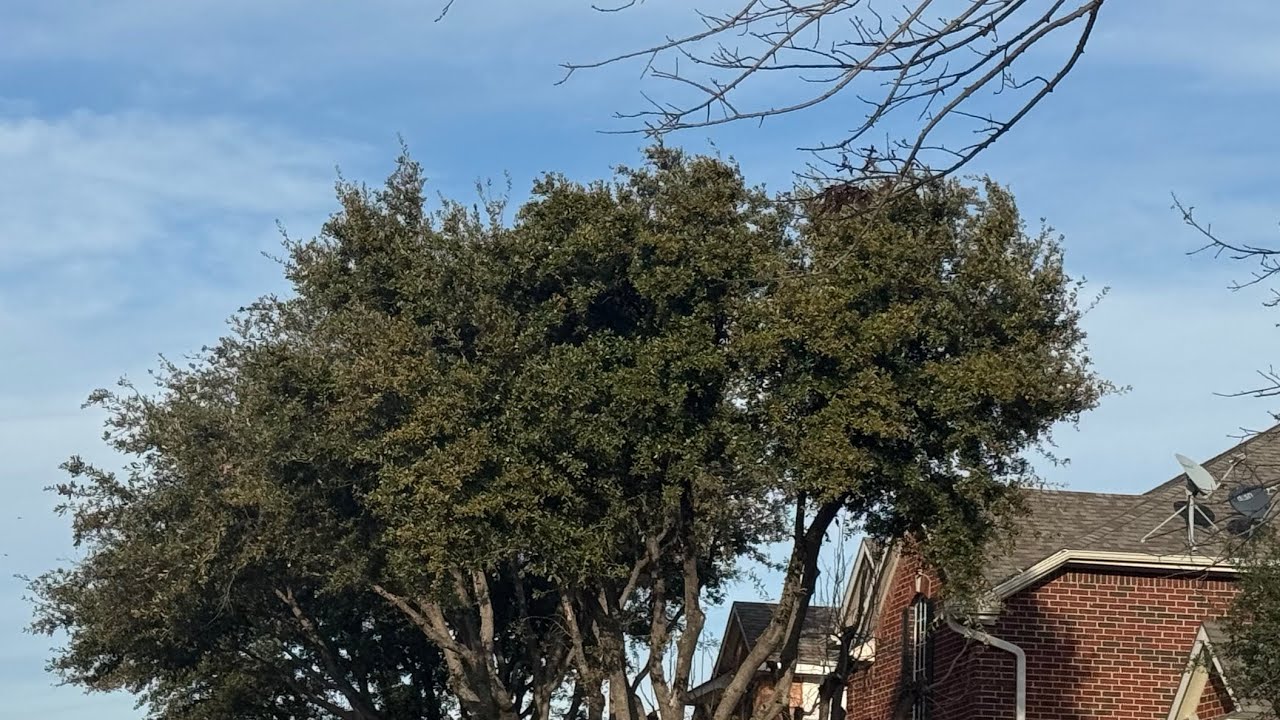 30 MPH Wind Gusts Hit Frisco TX 2/17/26