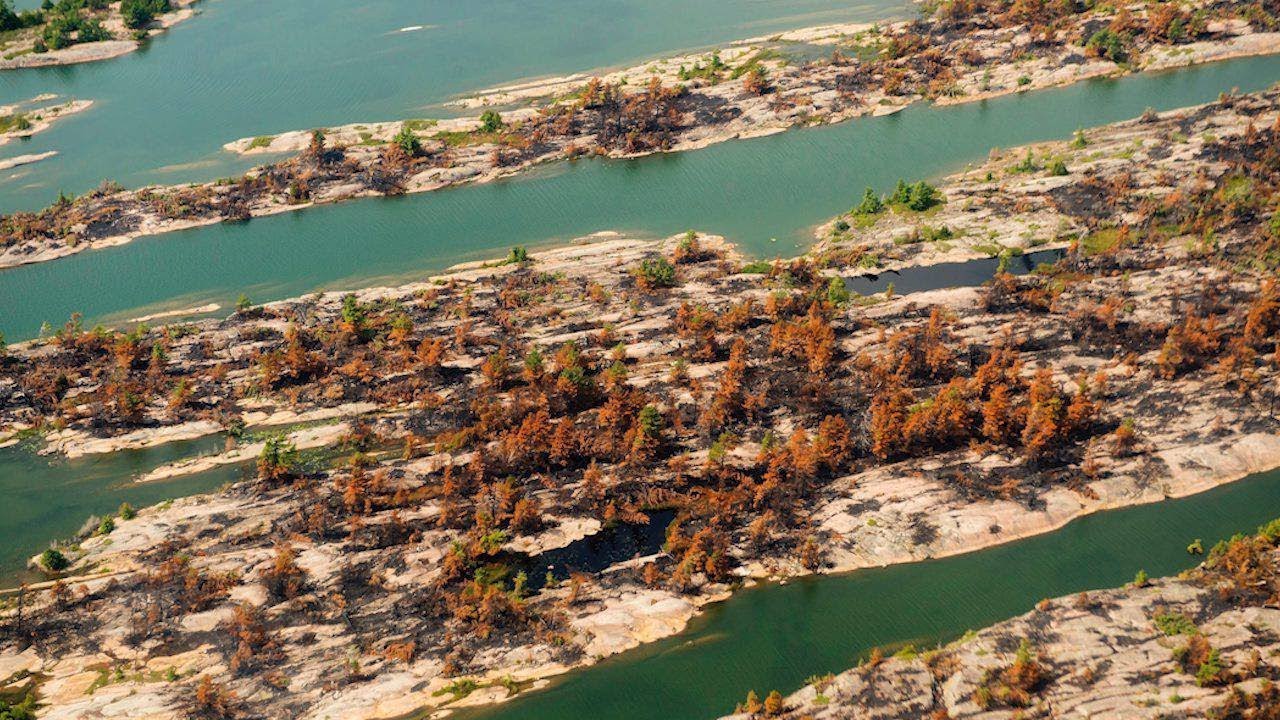 A helicopter view of Ontario forest fire damage