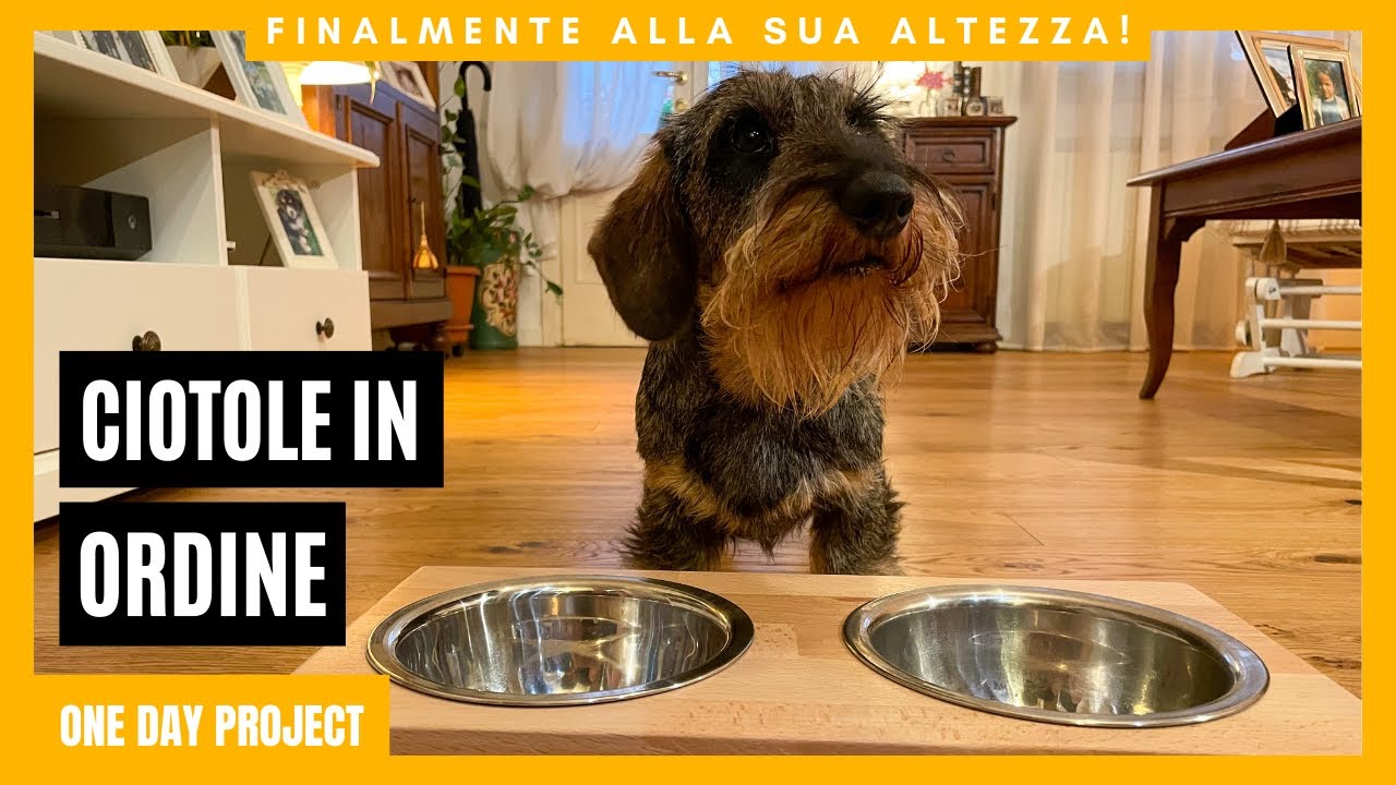 Portaciotole per cani in legno - Progetti in legno - Fai da te