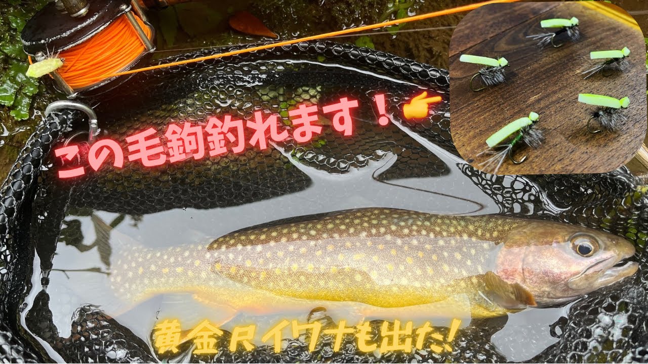 【フライフィッシング】今シーズン最後の栃木渓流釣りでドライシェーク不要の毛鉤を試してみたら爆釣しました！