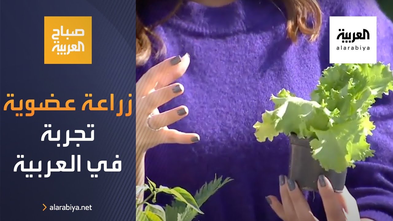 صباح العربية | كيف تبدأ الزراعة العضوية في منزلك؟