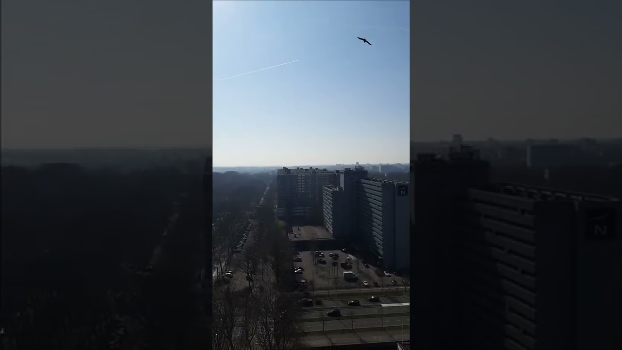 Amsterdam Zuidas Skyline.