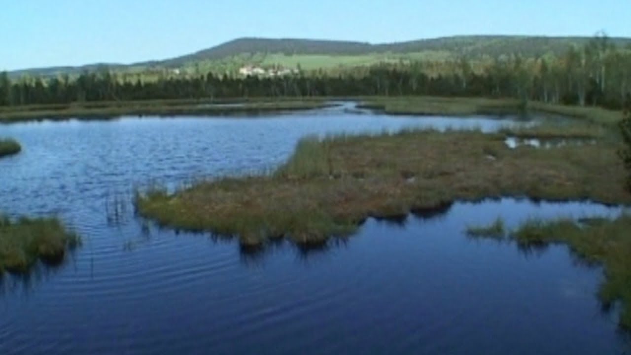 Šumavské slatě