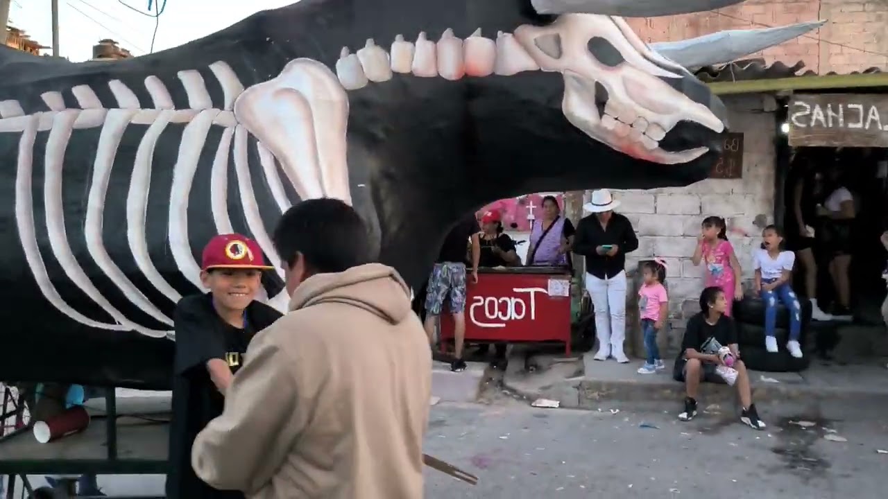ASI SE PREPARON VARIOS TOROS MONUMENTALES, PARA EL 8 DE MARZO EN TULTEPEC ESTADO DE MÉXICO 4/4