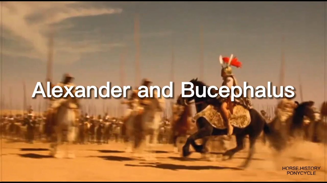 Alexander The Great & Warhorse Bucephalus, To The Conquest Of The World. #horse #history #ancient