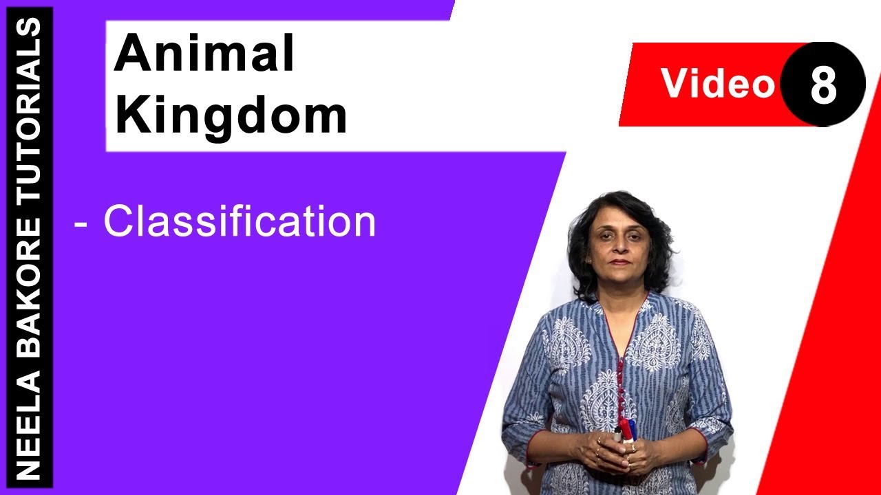 Classification | Animal Kingdom | NEET & Class 11 CBSE Board Biology | Neela Bakore Tutorials